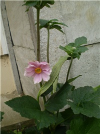 c6b0ba4b-Picture 6344.jpg